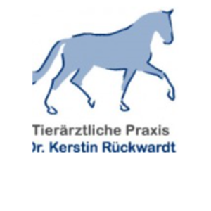 Pferdepraxis Rückwardt