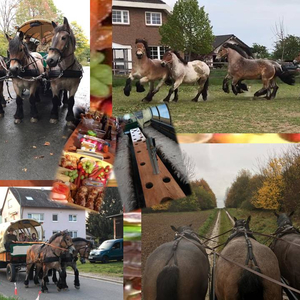 Reitstall Petith