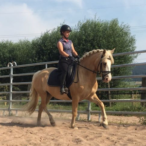 Annika´s Reittraining