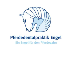 Pferdentalpraktik - Engel