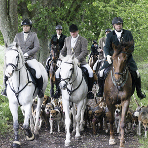 Reitanlage Rodenberg