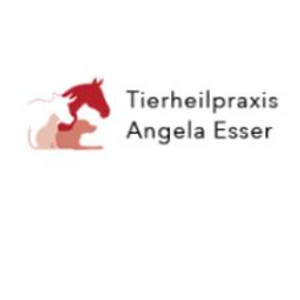 Tierheilpraxis für Groß- und Kleintiere