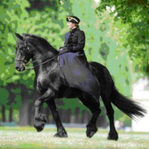 Trainer A klassisch-barock (FN)