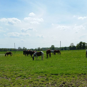 Hof Suntrup
