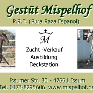 Gestüt Mispelhof
