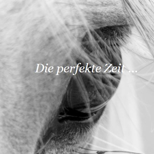 Kristina Maier Fotografie