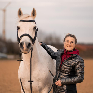 Osteopathie und Manuelle Therapie für Pferde