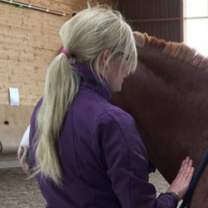 Tierphysiotherapie Anke Gutsch