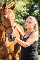 Susan Tenhaeff | Pferdeosteopathie Handeloh