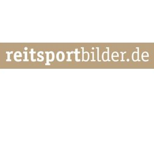 Pferdefotografie Manfred Regetat