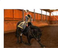 Barockreiten und Naturalhorsemanship