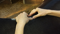 Pferdephysiotherapie Hornickel