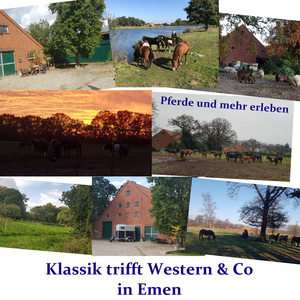 Reitschule und Pensionsstall