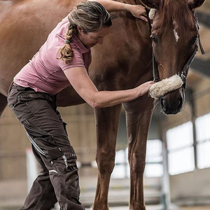 Horse and Physio