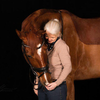 Waldhof Schmidt "Health for Horses & Human"