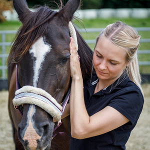 4Touch Physiotherapie für Hund und Pferd - Pferdeosteopathie, Hundephysiotherapi