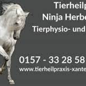 Tierheilpraxis Ninja Herbert-Geng