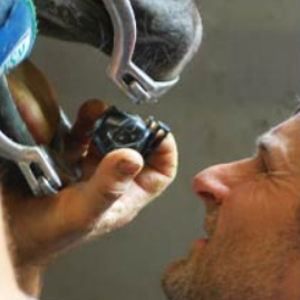 Pferdedentalservice Hermann Mosen