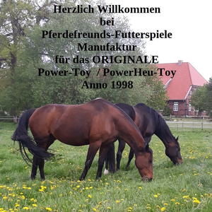 Pferdefreunds-Futterspiele