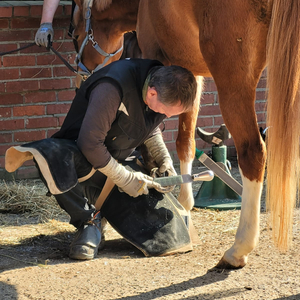 Hoof Care Kiel