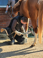 Hoof Care Kiel