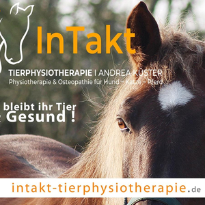 InTakt Tierphysiotherapie