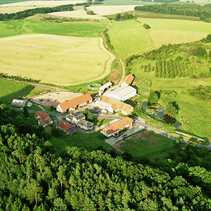 Gestüt Gut Buchenhof